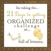 21dayorganizingchallenge1751