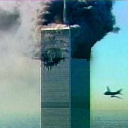 9-1131