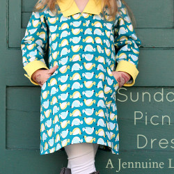 Sunday Picnic Dress FI