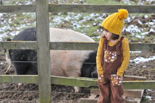 Jonagold Jumper - Image 22